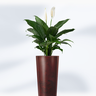 classic cone rubi vaso nutriplan plantas paisagens paisagismo png